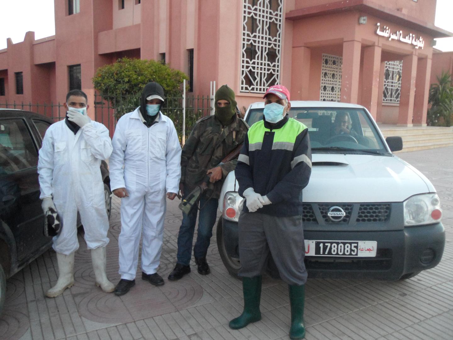 عملية محاربة الكلاب الضالة بالمدينة